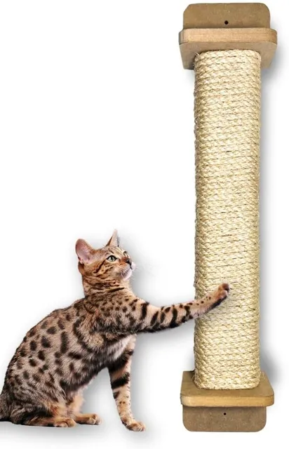 Gato arranhando o sofá: o protetor adesivo resolve mesmo?
