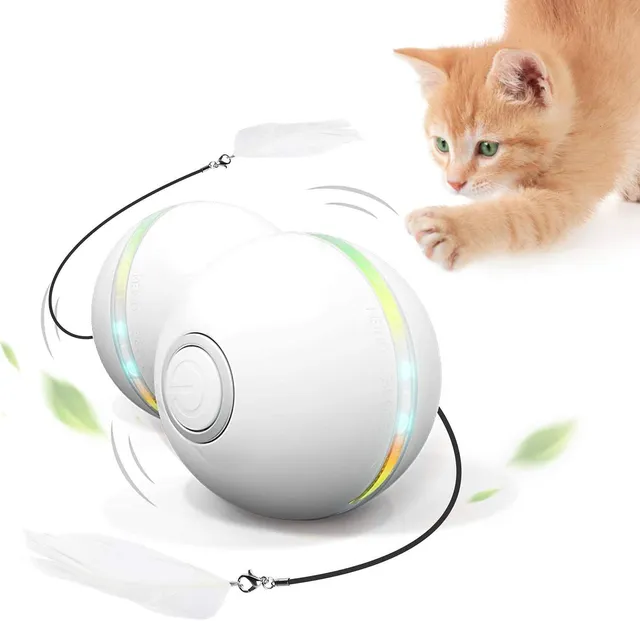 Brinquedos interativos para gatos: 5 opções que funcionam