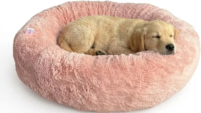 Cama Nuvem com Zíper
