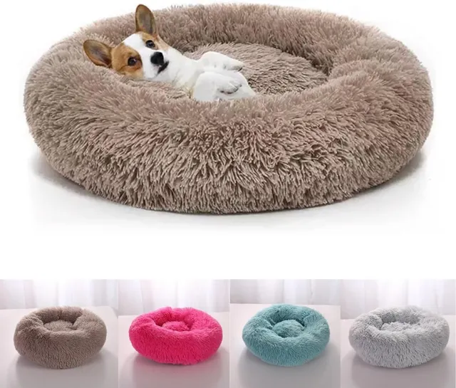 Caminhas para cães e gatos: as melhores para o inverno