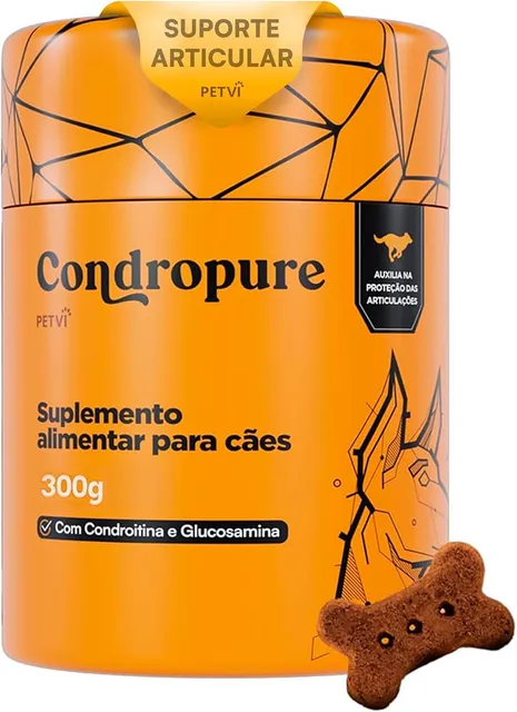 Cão idoso: os sinais de dor que costumam passar batido