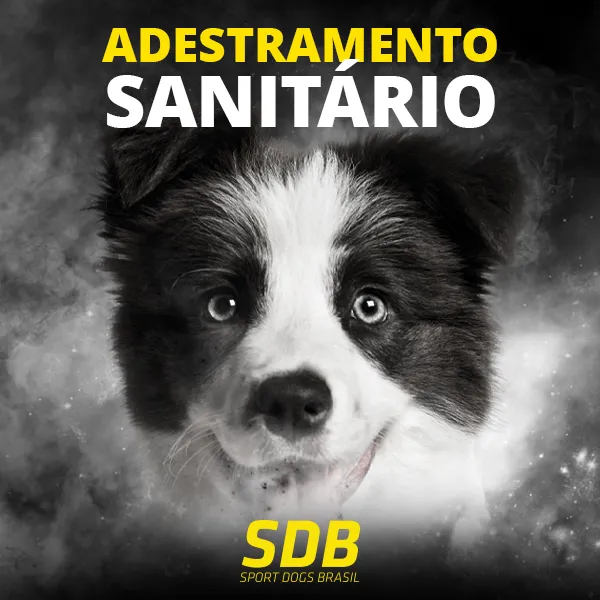 Adestramento Sanitário para Cães e Coprofagia