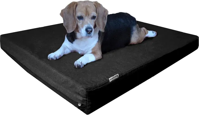 Dogbed4less Cama com Espuma de Memória