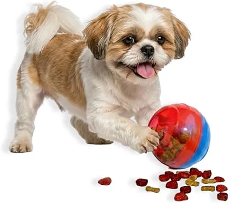 Brinquedo IQ Ball Interativo para Cães