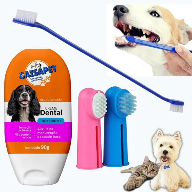 Como escovar os dentes do seu cão ou gato