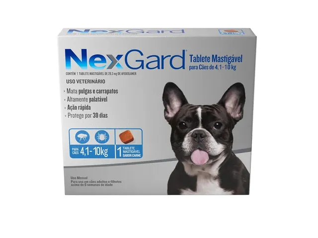Antipulgas para cães: coleira, pipeta ou comprimido?