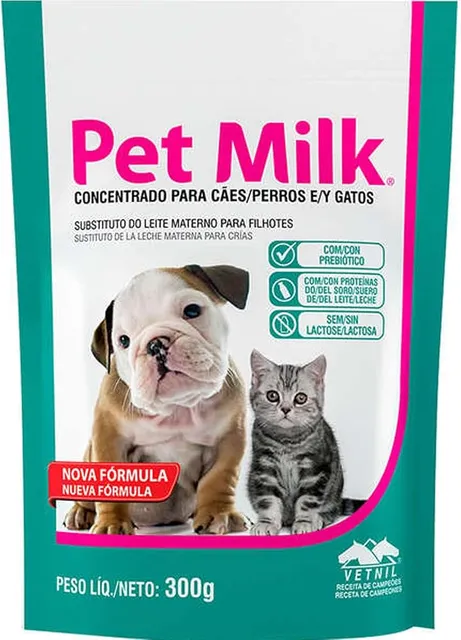 Gato filhote: os primeiros cuidados nas primeiras semanas