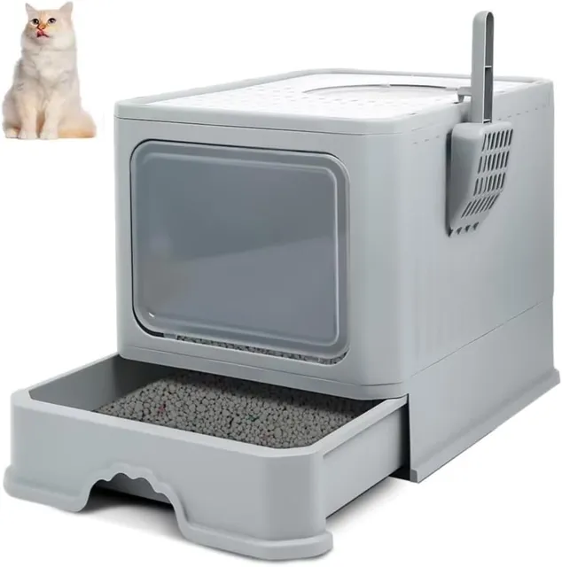 As melhores caixas de areia fechadas para gatos