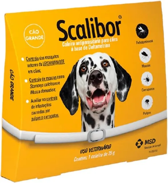 Coleira Scalibor e leishmaniose: como proteger seu cão