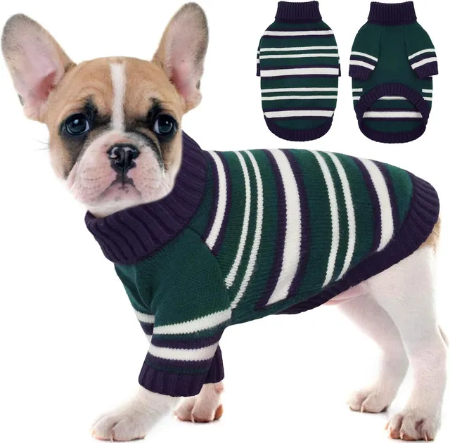 Cobertores e roupinhas para cães no inverno: os melhores