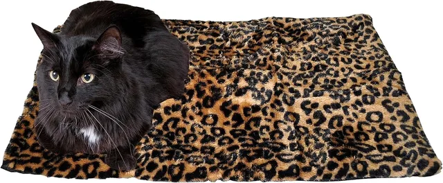 Os melhores tapetes térmicos para cães e gatos