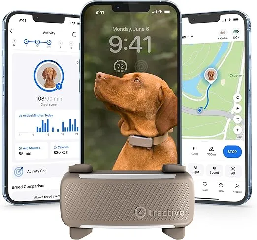 GPS tracker para pets: qual rastreador comprar em 2026